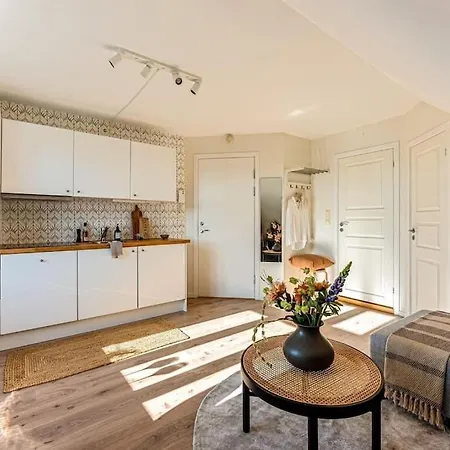 Cozy & Modern In Historic Area Of Bergen!