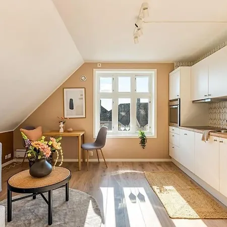 Apartment Cozy & Modern In Historic Area Of Bergen! Bergen
